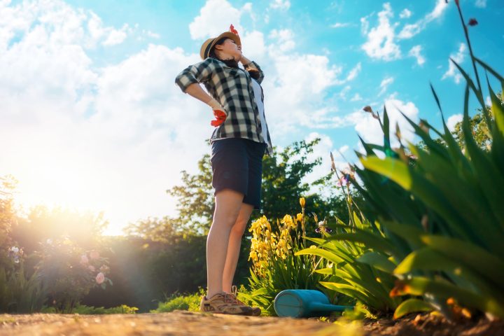 gardening back pain advice from chiropractor in newcastle-under-lyme
